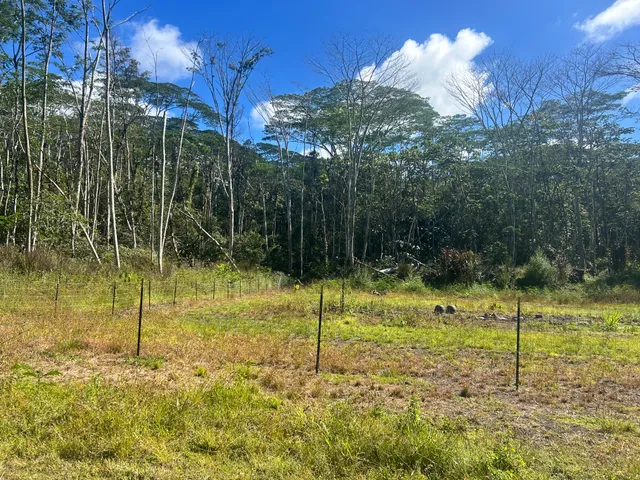 a backyard of a house