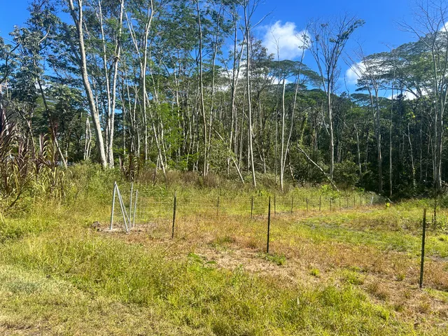 a view of yard with a tree