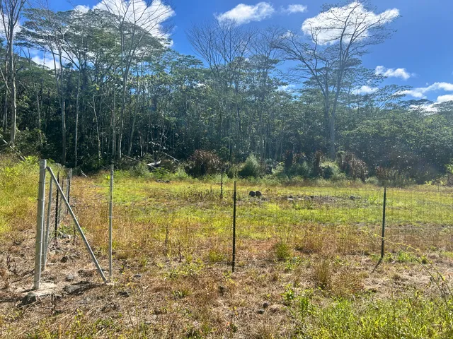 a view of a garden with a slide