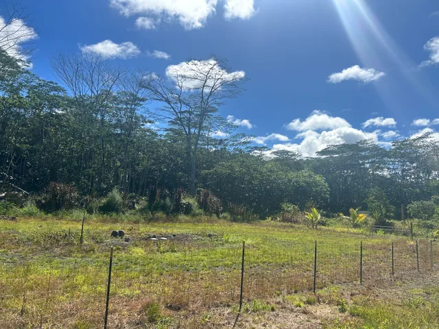 a view of a garden with a fountain