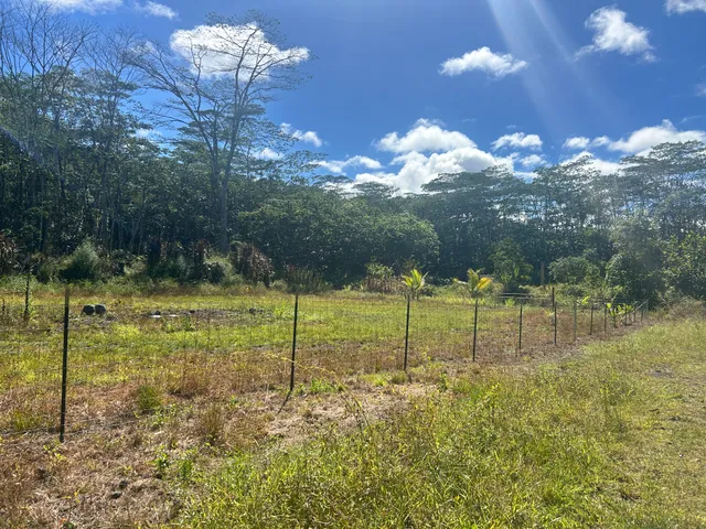a view of a house with a backyard of a house