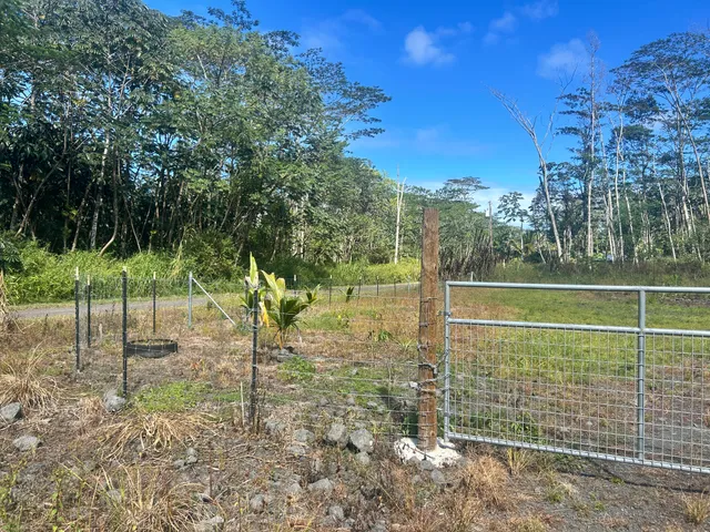 a view of a yard with a tree