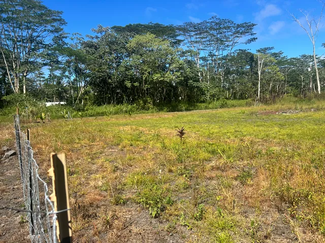 a view of a yard with an outdoor space