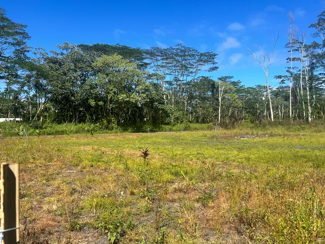 a view of a field with an ocean view