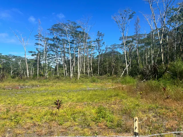 a view of a garden with houses