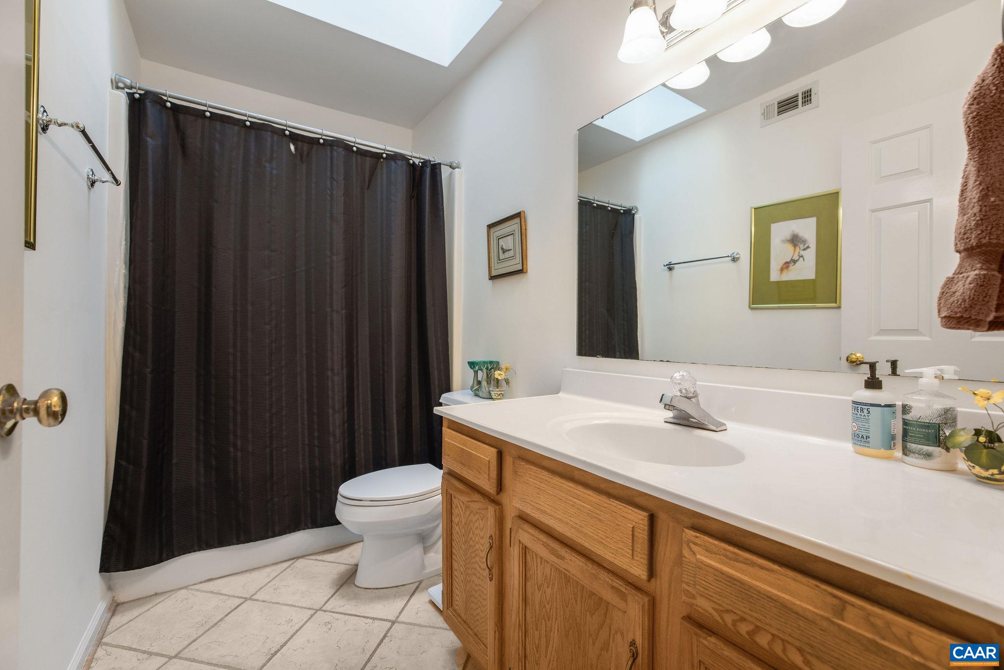 1249 Timberbranch Court Charlottesville, VA 22902 - Photo 19 of 34 a bathroom with a sink a toilet a mirror and shower curtain