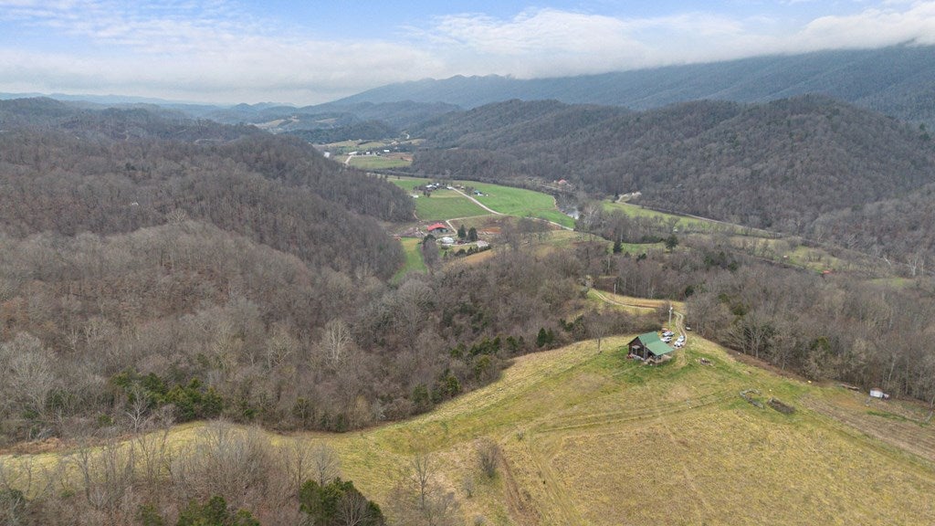 7252 Appaloosa Road Mendota, VA 24270 - Photo 18 of 26 Gallery Image 18
