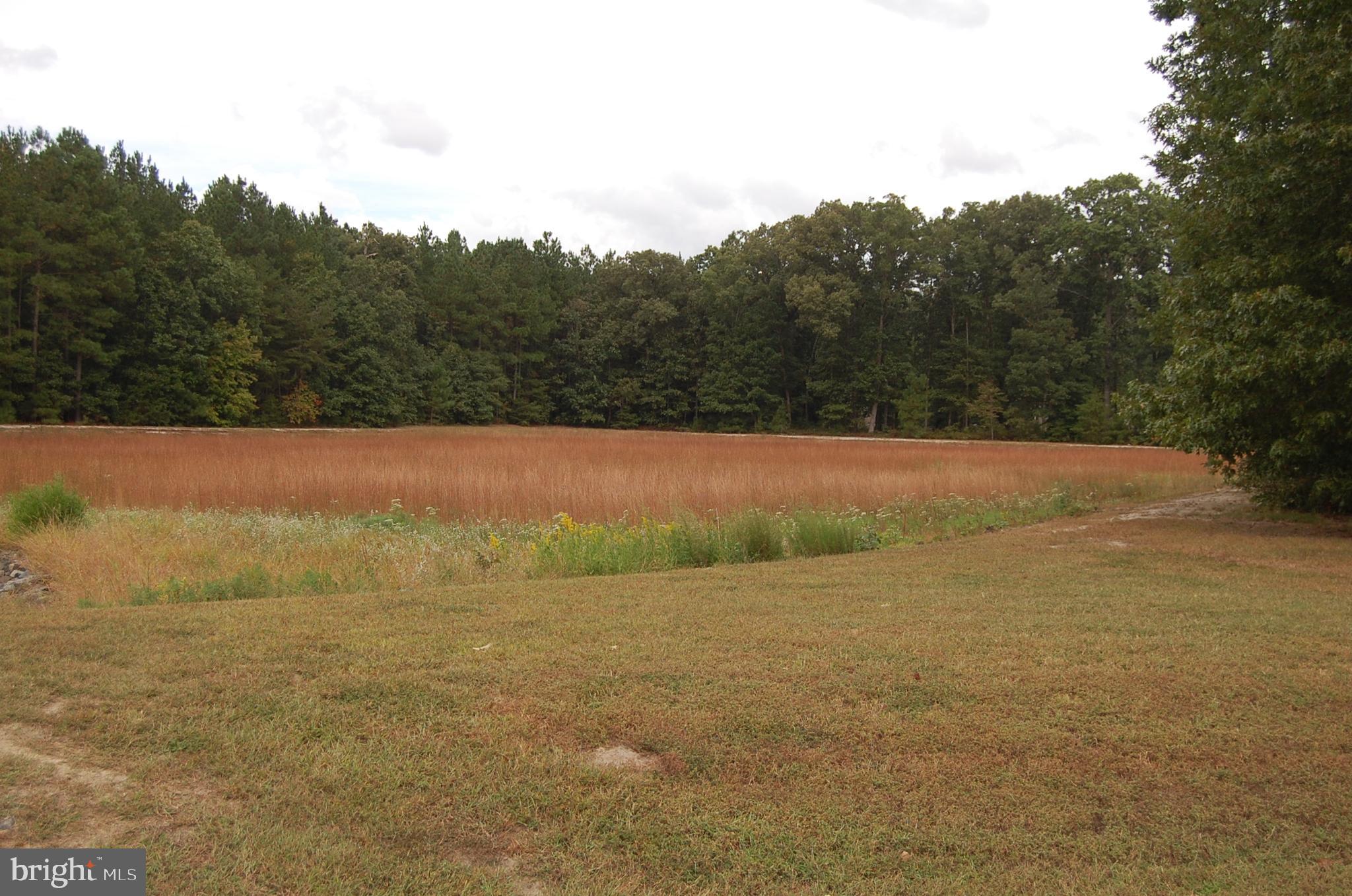 24713 Draper Loop Georgetown, DE 19947 - Photo 3 of 16 Open Space