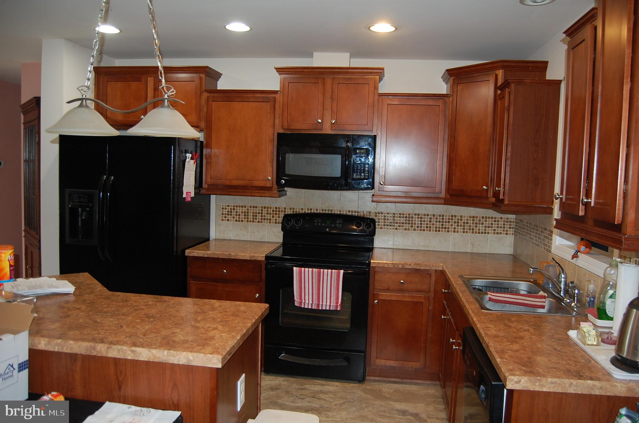24713 Draper Loop Georgetown, DE 19947 - Photo 4 of 16 Kitchen