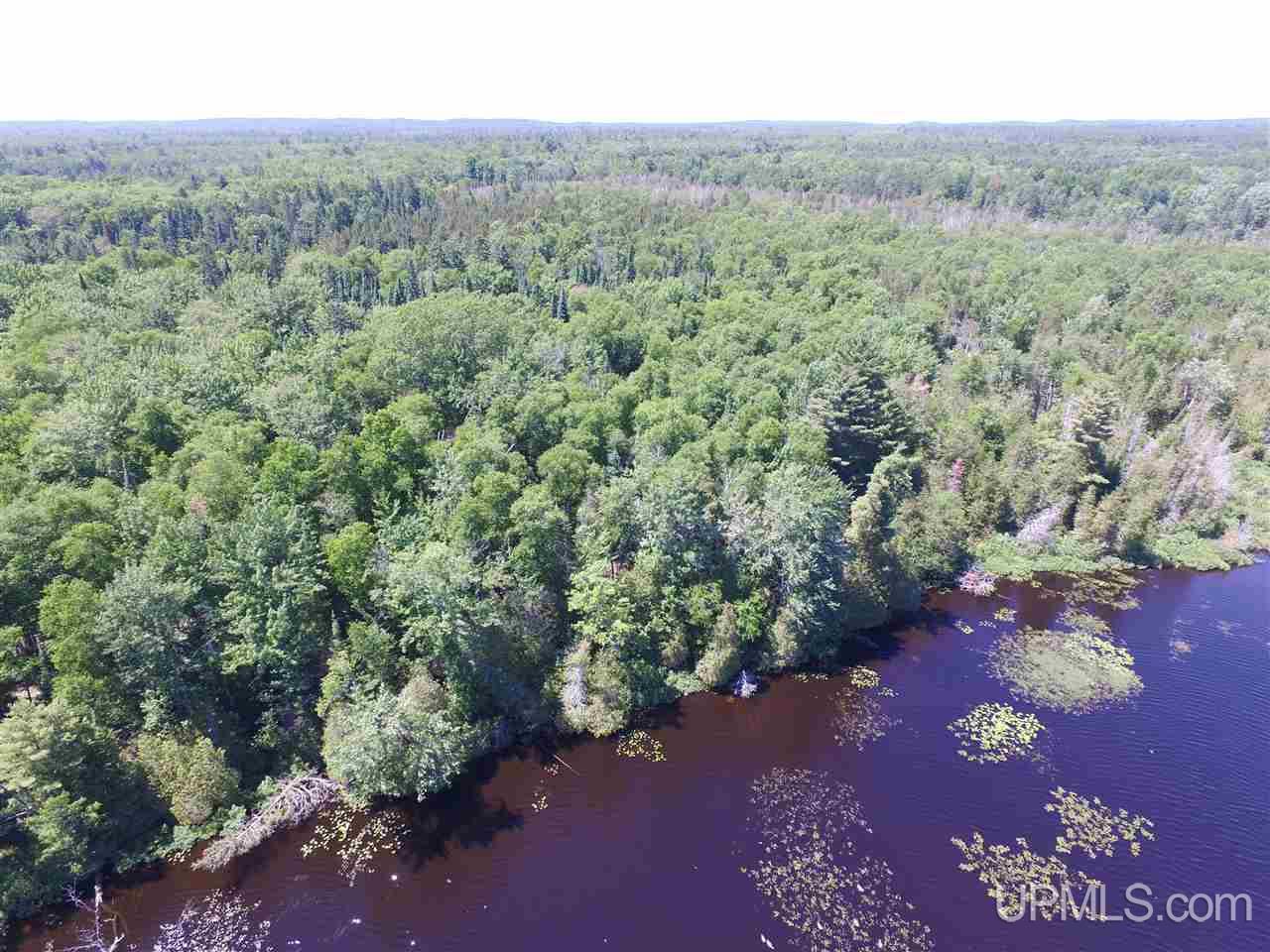 Tbd Usfs Road Munising, MI 49895 - Photo 11 of 14