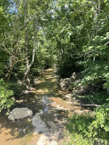 a view of outdoor space with a forest