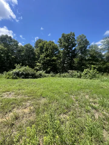 a view of a green field with lots of bushes