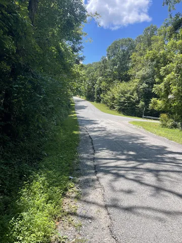 a view of a yard with a large trees