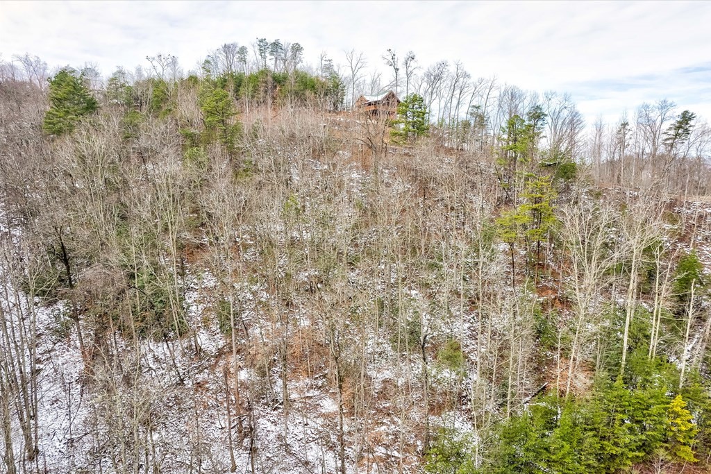 61 Whetstone Road Sevierville, TN 37862 - Photo 20 of 34 Gallery Image 20