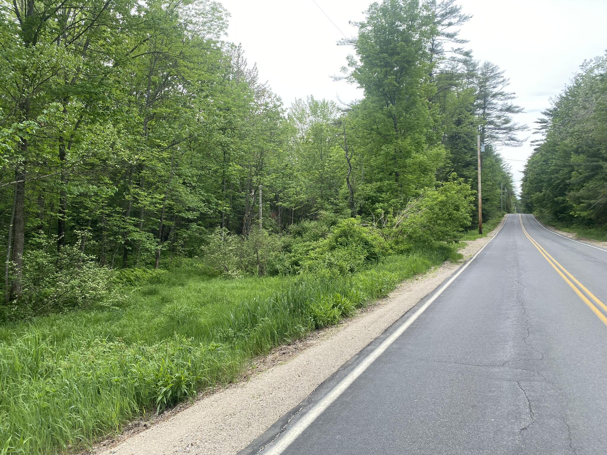 Lot # Hampshire Road, Unit 54 Brownfield, ME 04010 - Photo 13 of 19 IMG_6609