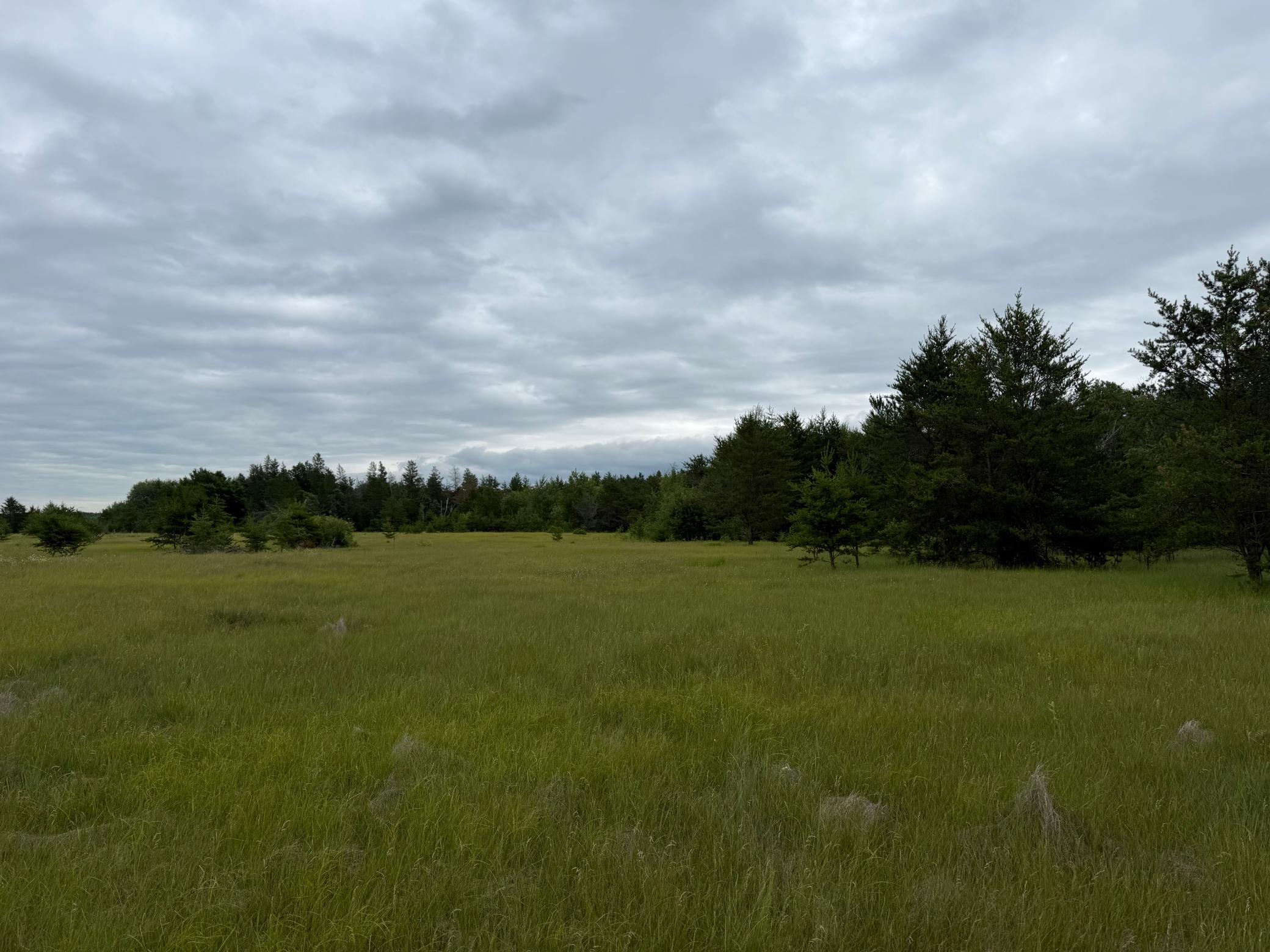 Tbd 350th Street Sebeka, MN 56477 - Photo 74 of 100