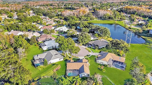 $850,000 | 17302 Preakness Place, Odessa, FL 33556