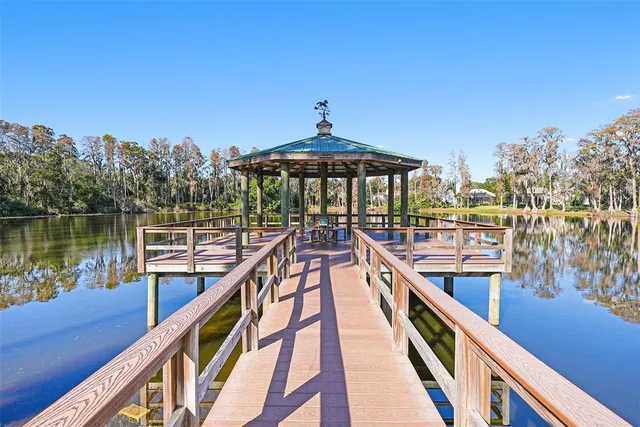 $850,000 | 17302 Preakness Place, Odessa, FL 33556