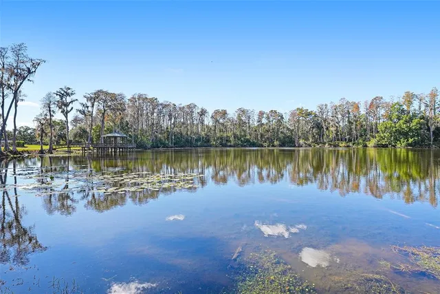 $850,000 | 17302 Preakness Place, Odessa, FL 33556