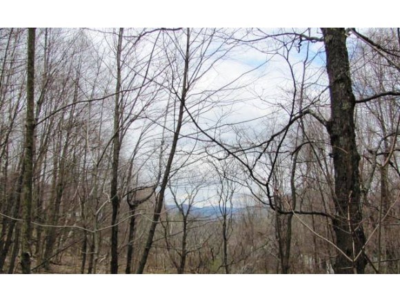 1256 South End Road Mount Tabor, VT 05253 - Photo 1 of 4 Gallery Image 1