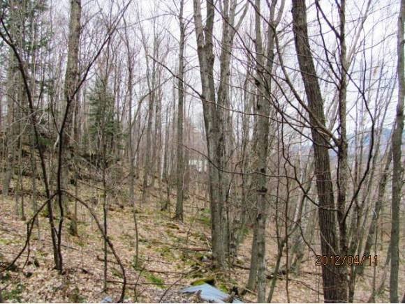 1256 South End Road Mount Tabor, VT 05253 - Photo 3 of 4 Gallery Image 3