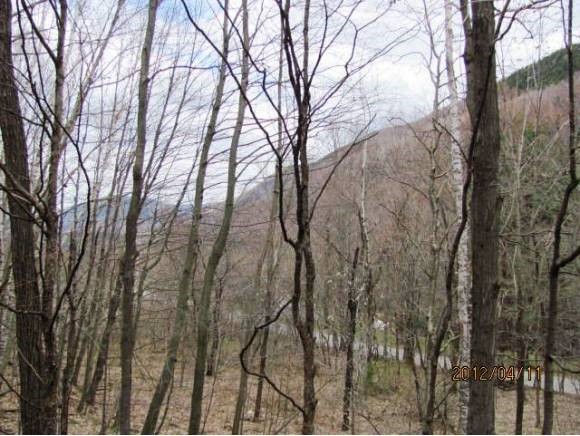 1256 South End Road Mount Tabor, VT 05253 - Photo 4 of 4 Gallery Image 4
