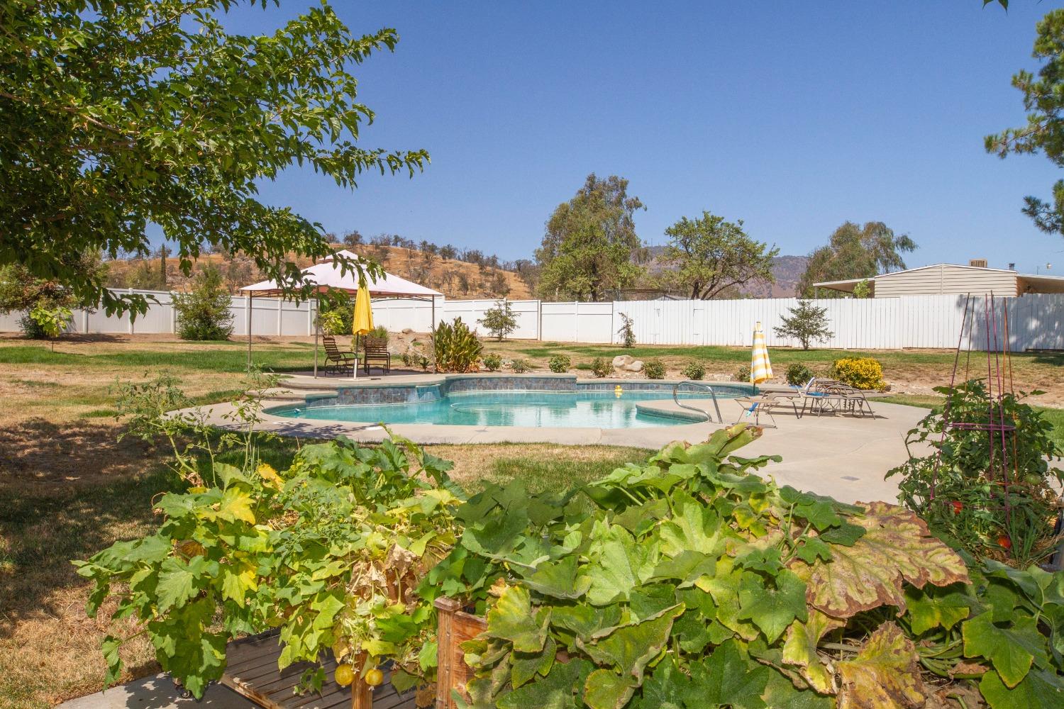 31995 George Smith Road Squaw Valley, CA 93675 - Photo 18 of 61 Gallery Image 18