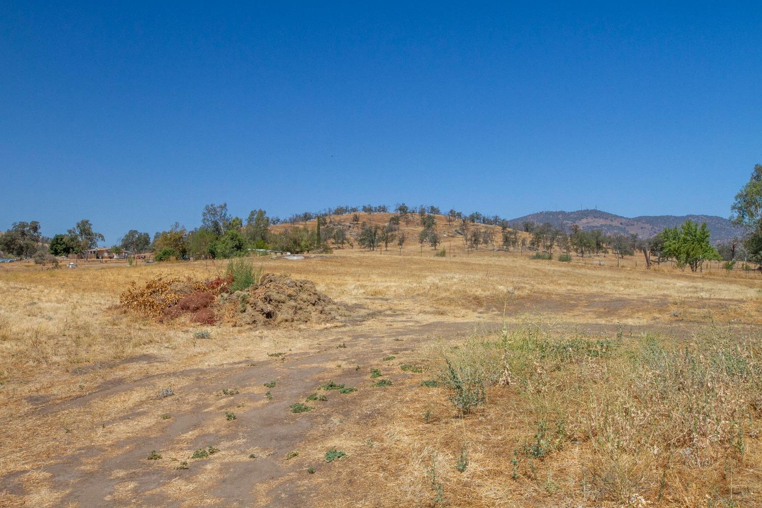 31995 George Smith Road Squaw Valley, CA 93675 - Photo 48 of 61 Gallery Image 48