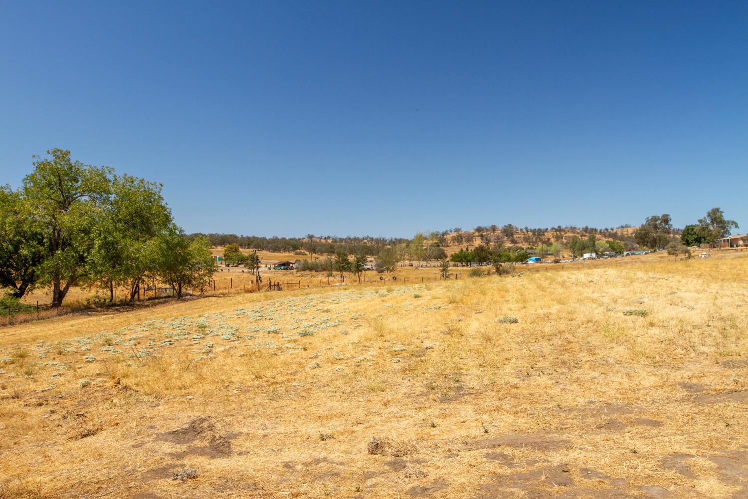31995 George Smith Road Squaw Valley, CA 93675 - Photo 49 of 61 Gallery Image 49