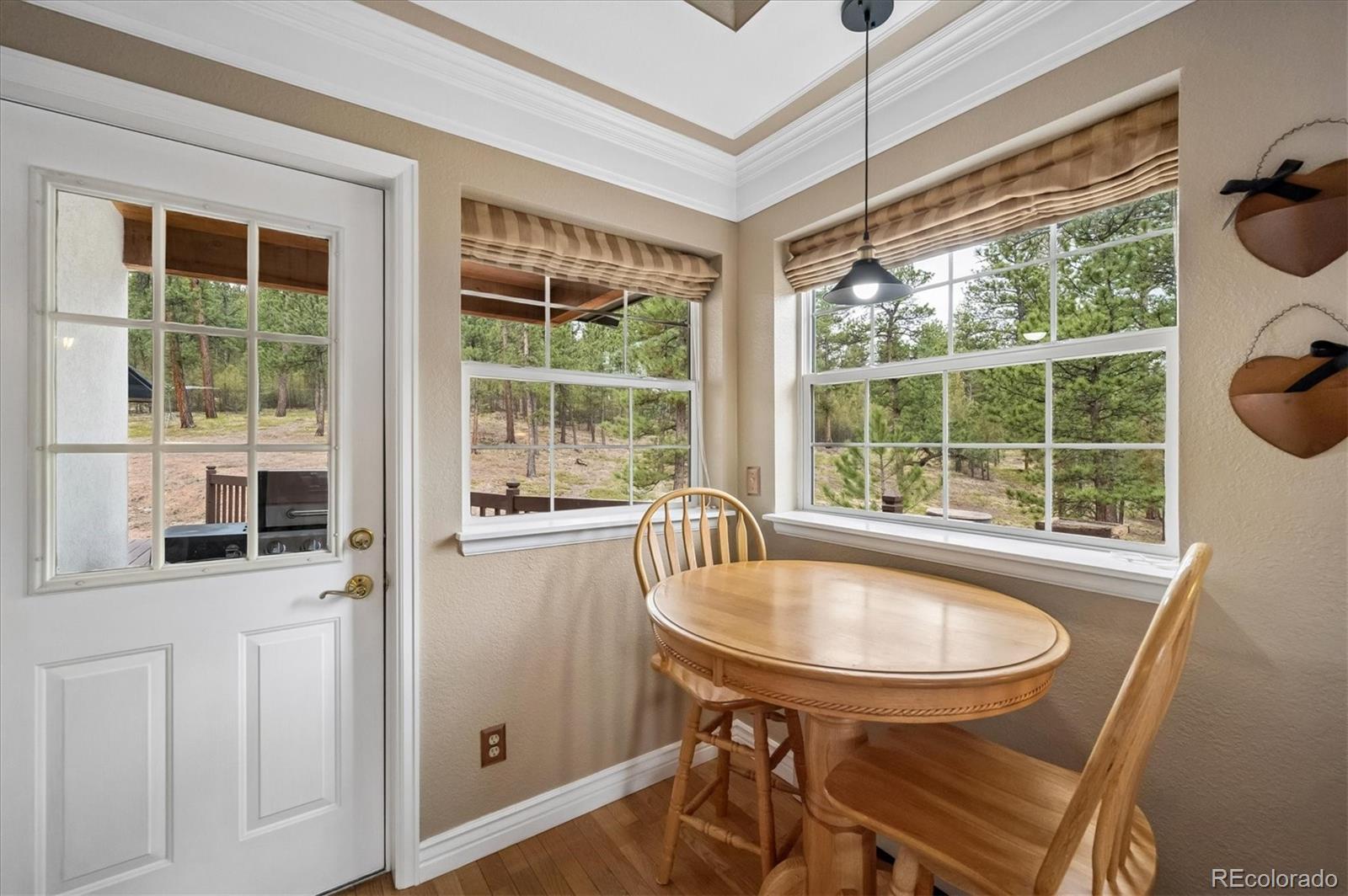 410 Spring Drive Pine, CO 80470 - Photo 12 of 48