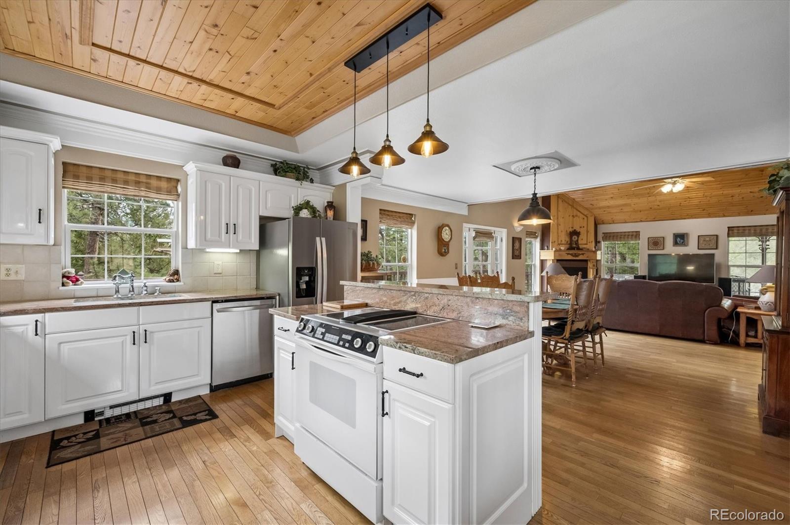 410 Spring Drive Pine, CO 80470 - Photo 9 of 48