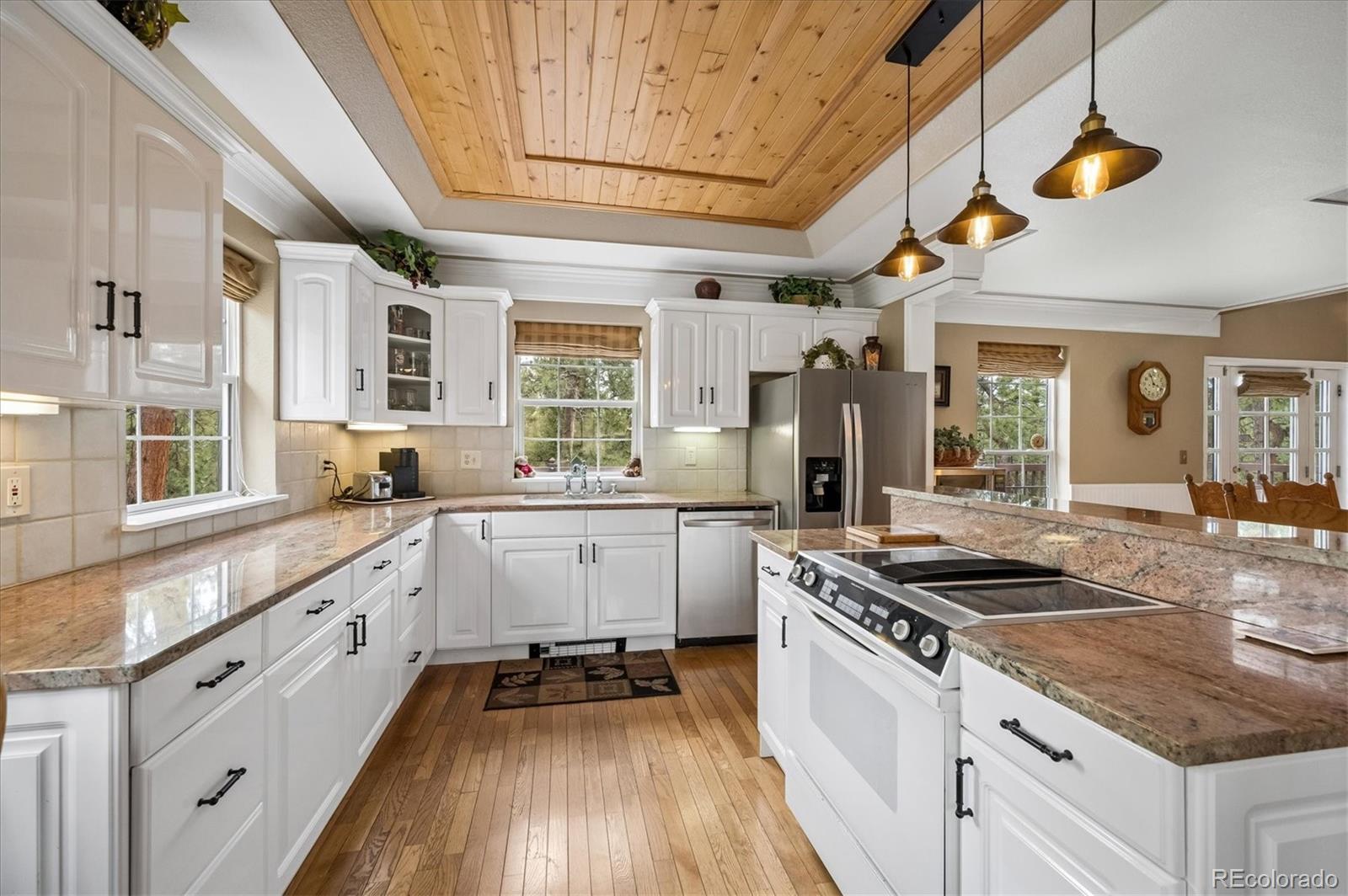 410 Spring Drive Pine, CO 80470 - Photo 10 of 48