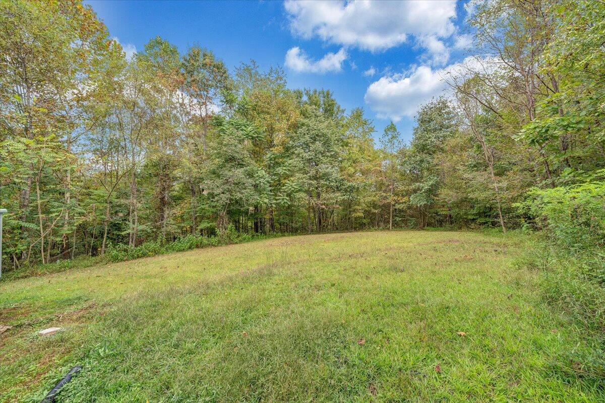 822 Buck Run Drive Critz, VA 24082 - Photo 48 of 55 48-MIB09913