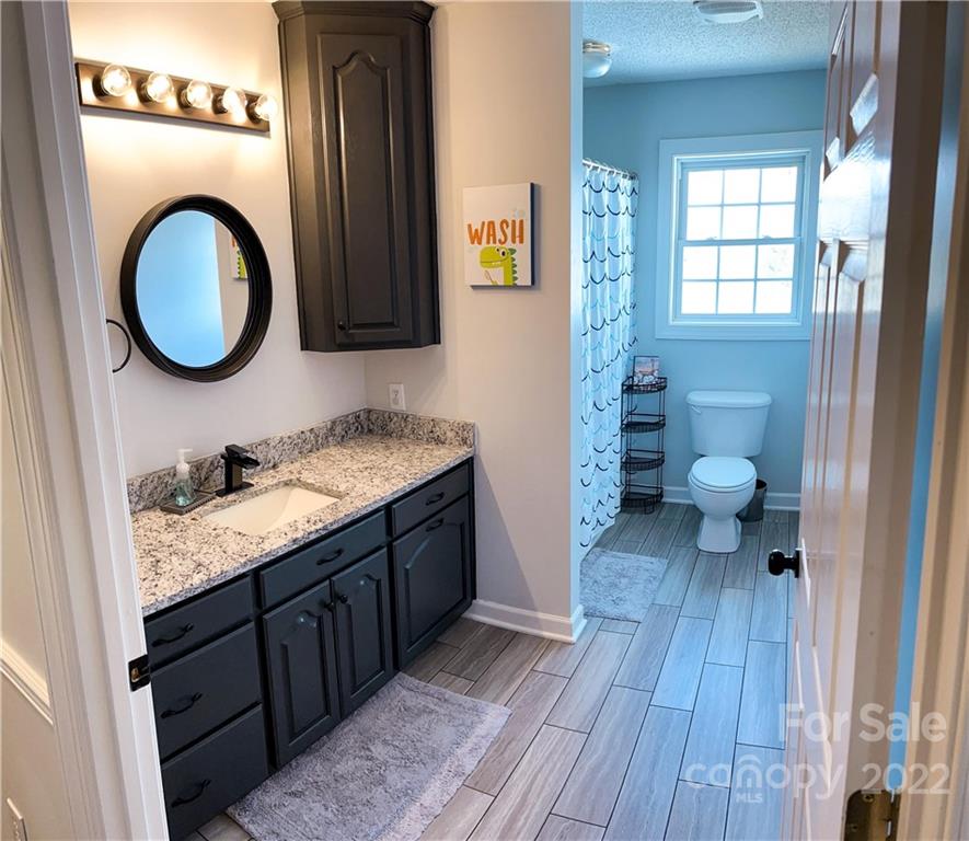 270 Tom Laney Road Lancaster, SC 29720 - Photo 18 of 28 a bathroom with a granite countertop toilet sink and mirror