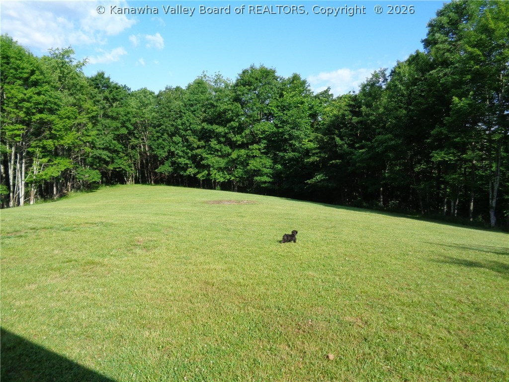 1651 Evergreen Road Fraziers Bottom, WV 25082 - Photo 7 of 30 Gallery Image 7