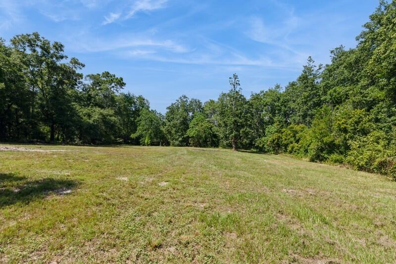 1086 County Highway 183 North DeFuniak Springs, FL 32433 - Photo 35 of 39 a view of a yard with a tree