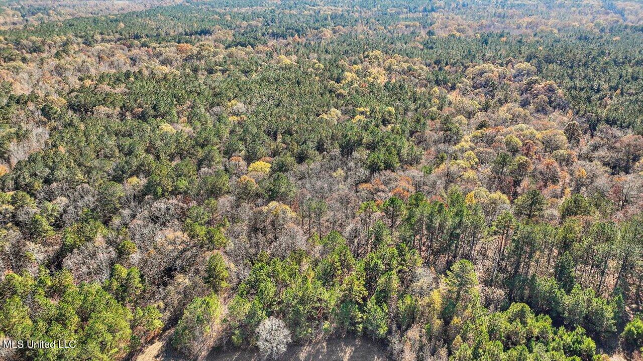 0 Hargon Road Camden, MS 39045 - Photo 12 of 34 11-242 Hargon Rd