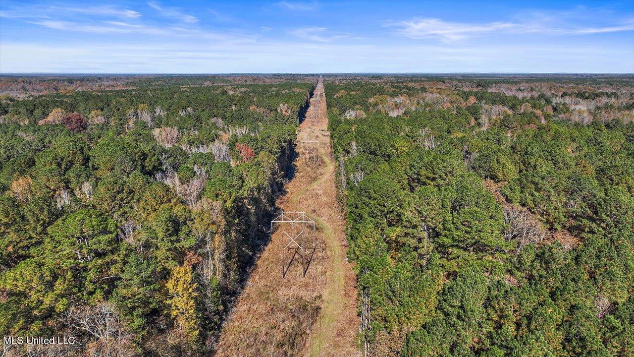 0 Hargon Road Camden, MS 39045 - Photo 16 of 34 15-242 Hargon Rd