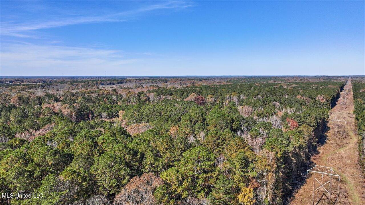 0 Hargon Road Camden, MS 39045 - Photo 17 of 34 16-242 Hargon Rd