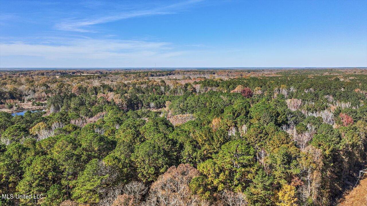 0 Hargon Road Camden, MS 39045 - Photo 18 of 34 17-242 Hargon Rd
