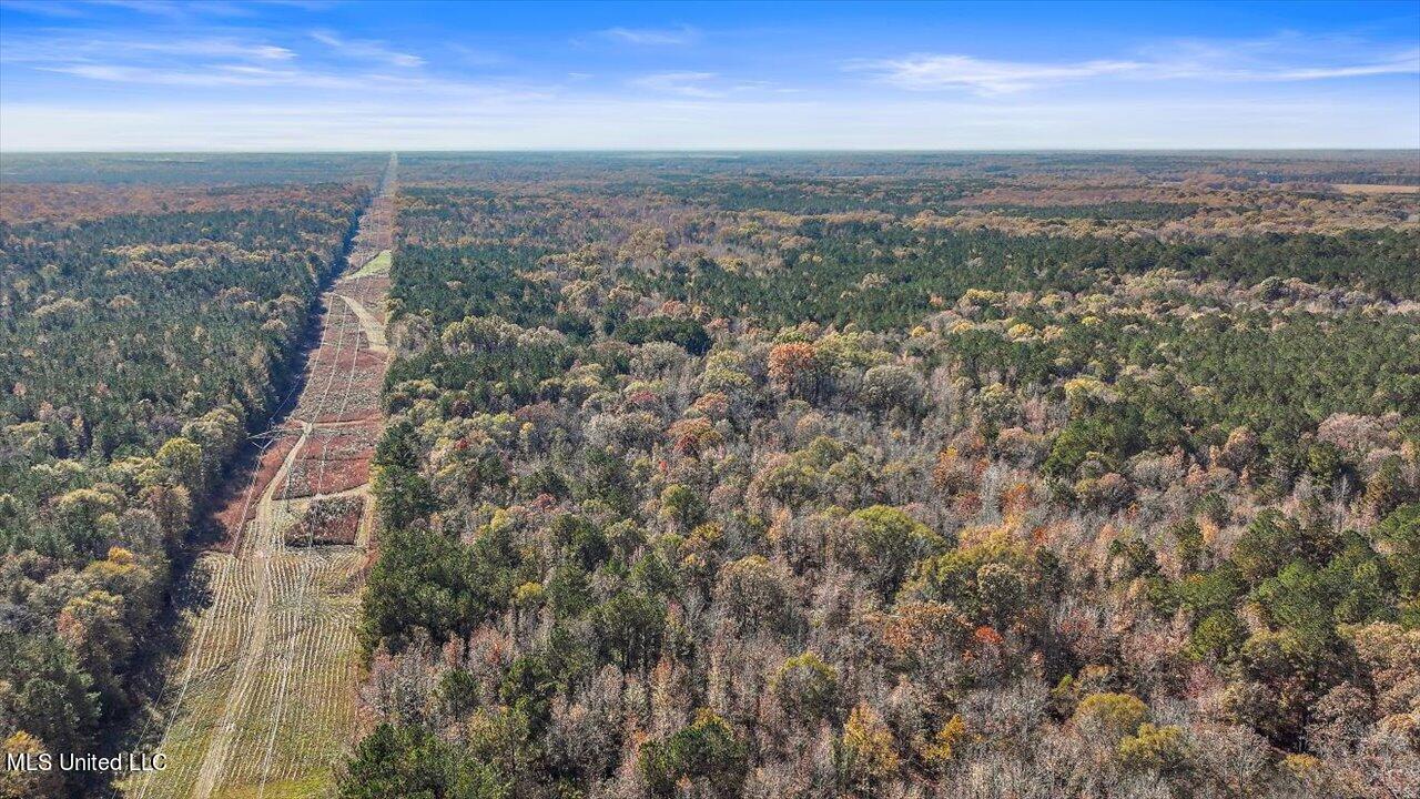 0 Hargon Road Camden, MS 39045 - Photo 8 of 34 07-242 Hargon Rd