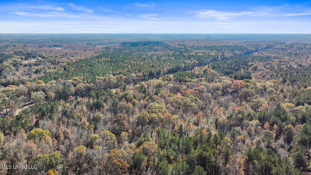 0 Hargon Road Camden, MS 39045 - Photo 9 of 34 08-242 Hargon Rd