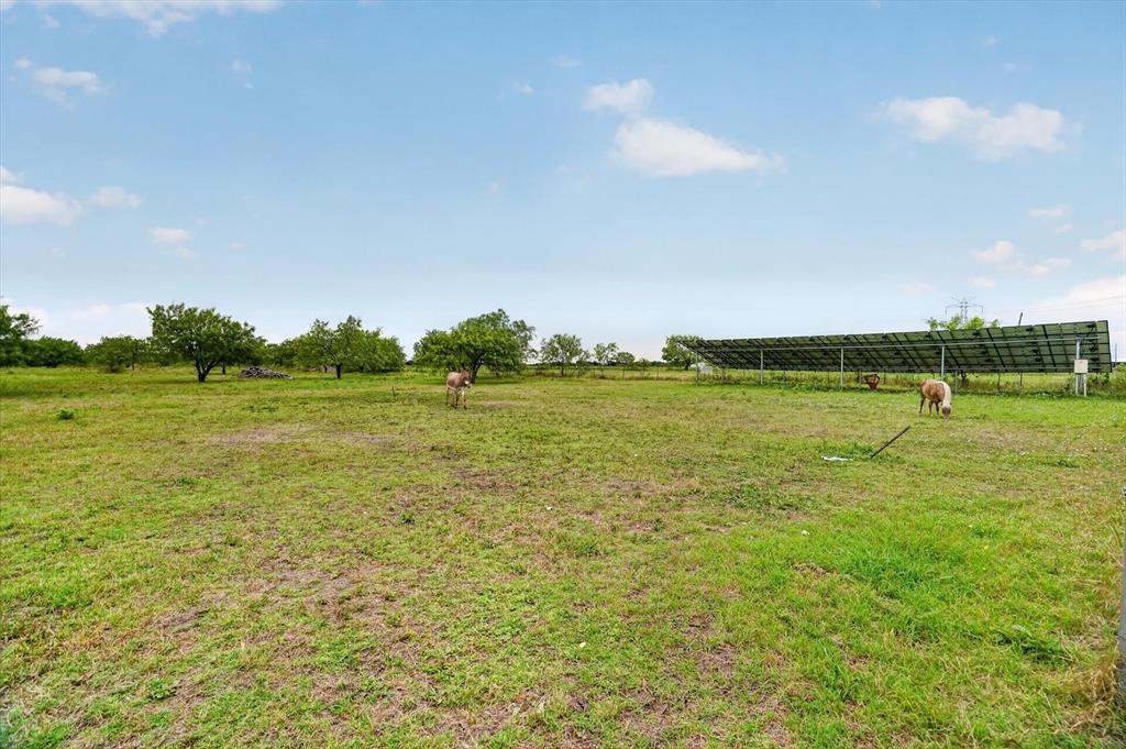 8890 Norrell Road Venus, TX 76084 - Photo 15 of 29