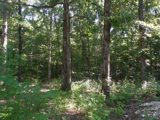 Robison Road Finger, TN 38334 - Photo 1 of 9 Gallery Image 1