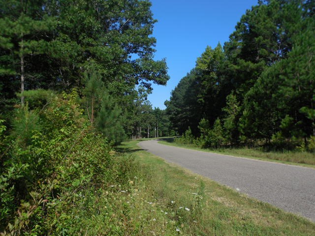 Robison Road Finger, TN 38334 - Photo 2 of 9 Gallery Image 2