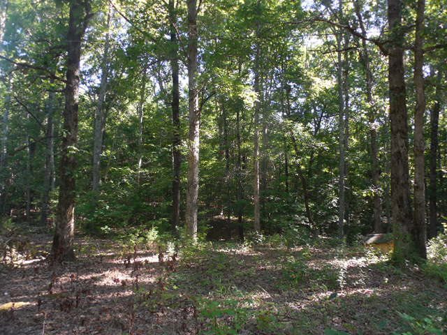 Robison Road Finger, TN 38334 - Photo 3 of 9 Gallery Image 3