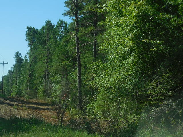 Robison Road Finger, TN 38334 - Photo 4 of 9 Gallery Image 4
