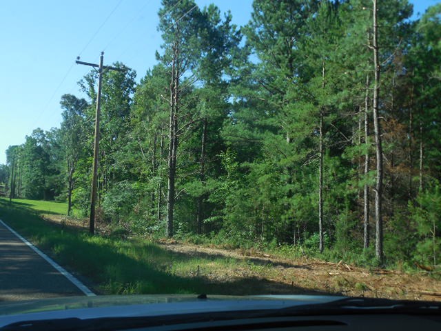 Robison Road Finger, TN 38334 - Photo 6 of 9 Gallery Image 6