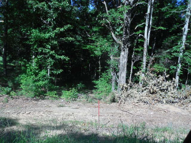 Robison Road Finger, TN 38334 - Photo 7 of 9 Gallery Image 7
