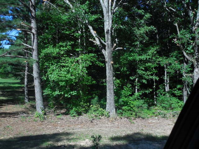 Robison Road Finger, TN 38334 - Photo 8 of 9 Gallery Image 8